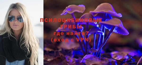 метадон Белокуриха