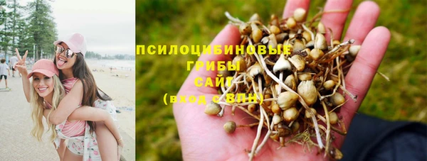 бошки Беломорск